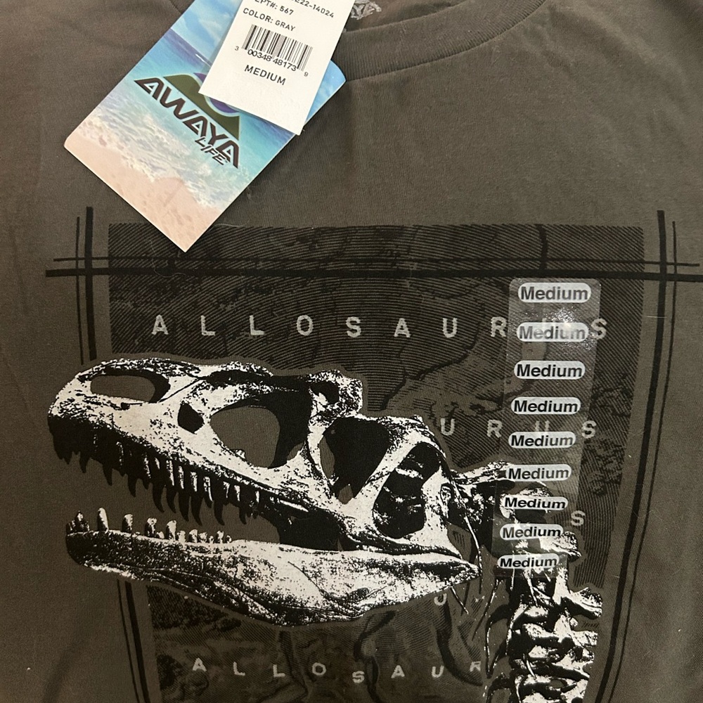 Gray Dinosaur Graphic T-Shirt